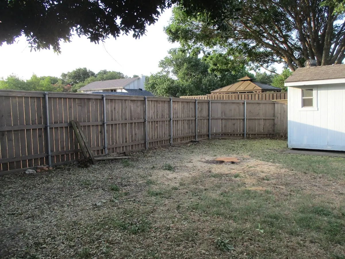 Cleared yard after professional tree removal in Derby Line